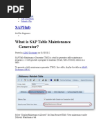 Saphub: What Is Sap Table Maintenance Generator?