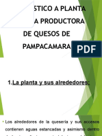 Diagnostico A Planta Lechera Productora de Quesos