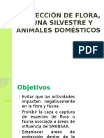 Proteccion de Flora y Fauna Silvestre y Animales