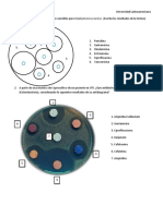 Practica de Antibiograma