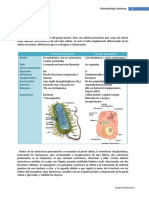 Micro Biolog Í A