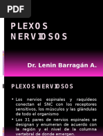 Plexos Nerviosos