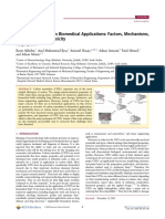 Carbon Nanotube Review