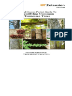 Tennessee Trees PDF