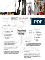 El Campo Profesional Del Acompañamiento Terapéutico PDF