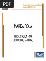 Marea Roja Intoxicacion Por Biotoxinas Marinas