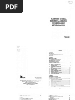 Tarifas de Energía Eléctrica-Aspectos Conceptuales y Metodológicos. Roberto Bitu Paulo Born