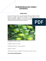 Plantas Medicinales Del Pueblo Ashaninka