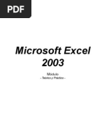 Excel 2003