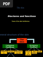 Skin Structure and Functions