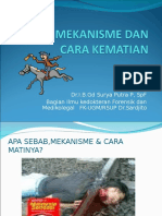 Sebab, Mekanisme Dan Cara Kematian