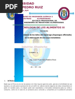 Informe de Sopa Instantanea de Esparragos