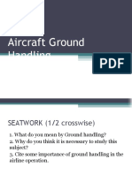 Ground Handling Official