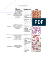 Anormales Comunes en Hematologia