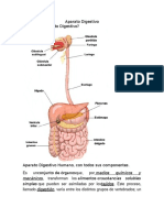 Aparato Digestivo