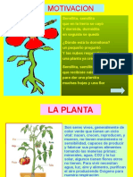 PPT Las Plantas