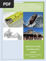 Structure Integrity Report Asgnmnt - Roller Coster