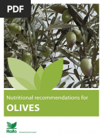 Olive Booklet PDF