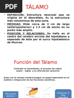 Función Del Tálamo