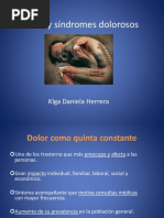 Dolor y Síndromes Dolorosos PDF