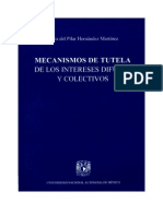 Mecanismos de Tutela de Los Intereses Difusos y Colectivos Hernández, María Del Pilar 1997