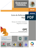 Migraña Guia PDF