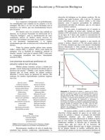 Plantas Vs Filtro Biologico