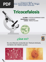 Tricocefalosis