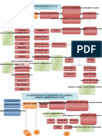 Pathophysiology Community Aquired Pneumonia and Anemia