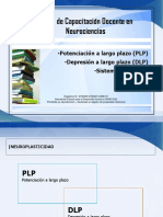 PLP - DLP - Atención