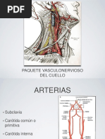 08 - Paquete Vasculonervioso Del Cuello