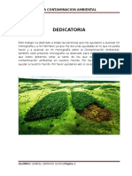 Monografia Contaminacion Ambiental