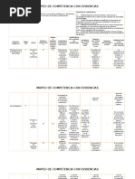 Mapeo Competencia Profesional - Formato