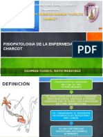 Fisiopatologia Decharcot