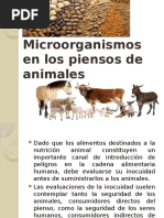 Microorganismos en Los Piensos de Animales