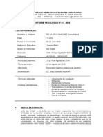 Informe Psicologico Lidia