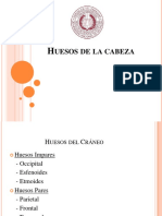 Huesos de La Cabeza