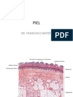 Histologia de La Piel