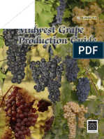 Grape Production Guide PDF