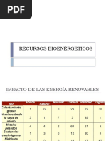 Recursos Bioenérgeticos