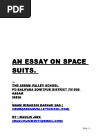 An Essay On Space Suits