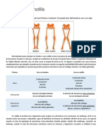 Ultrasonido-De-Rodilla POWARE PDF