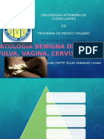 Patologia Benigna de Vulva, Vagina y Cervix