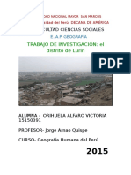 Informe de Lurin