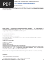 ¿Cuáles Son Las Ventajas y Desventajas de Los Insecticidas Orgánicos - INFORMACIONES AGRONOMICAS