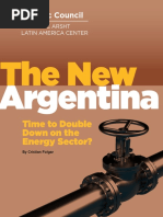 The New Argentina