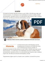 Perros de Rescate Affinity Petcare