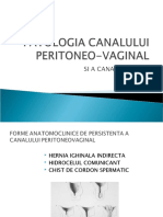 Patologia Canalului Peritoneovaginal