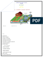 Microbes in Sewage Treatment