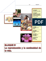 Biologia Cuaderno de Actividades Bloque 4 PDF